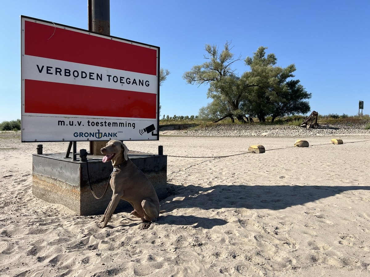 SanderKerkhof's tweet photo. De borden voor de scheepvaart kunnen we nu van dichtbij bekijken 😆 #Laagwater rivier de #Waal 🇳🇱 https://t.co/wohE7PcCtN