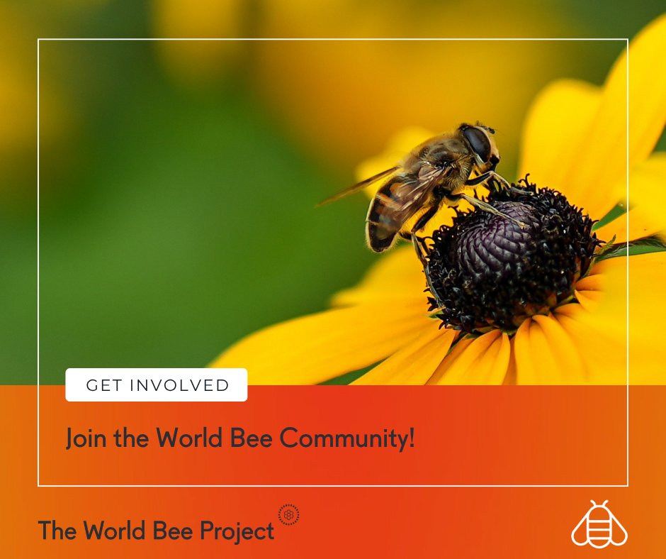 worldbeeproject's tweet photo. Bees need action, not just awareness. 🐝

Join the World Bee Community and take a meaningful step toward protecting pollinators and supporting the ecosystems we all rely on.

Take action now:
https://t.co/ch6EVfNZ5v https://t.co/Ymr7P73c0m
