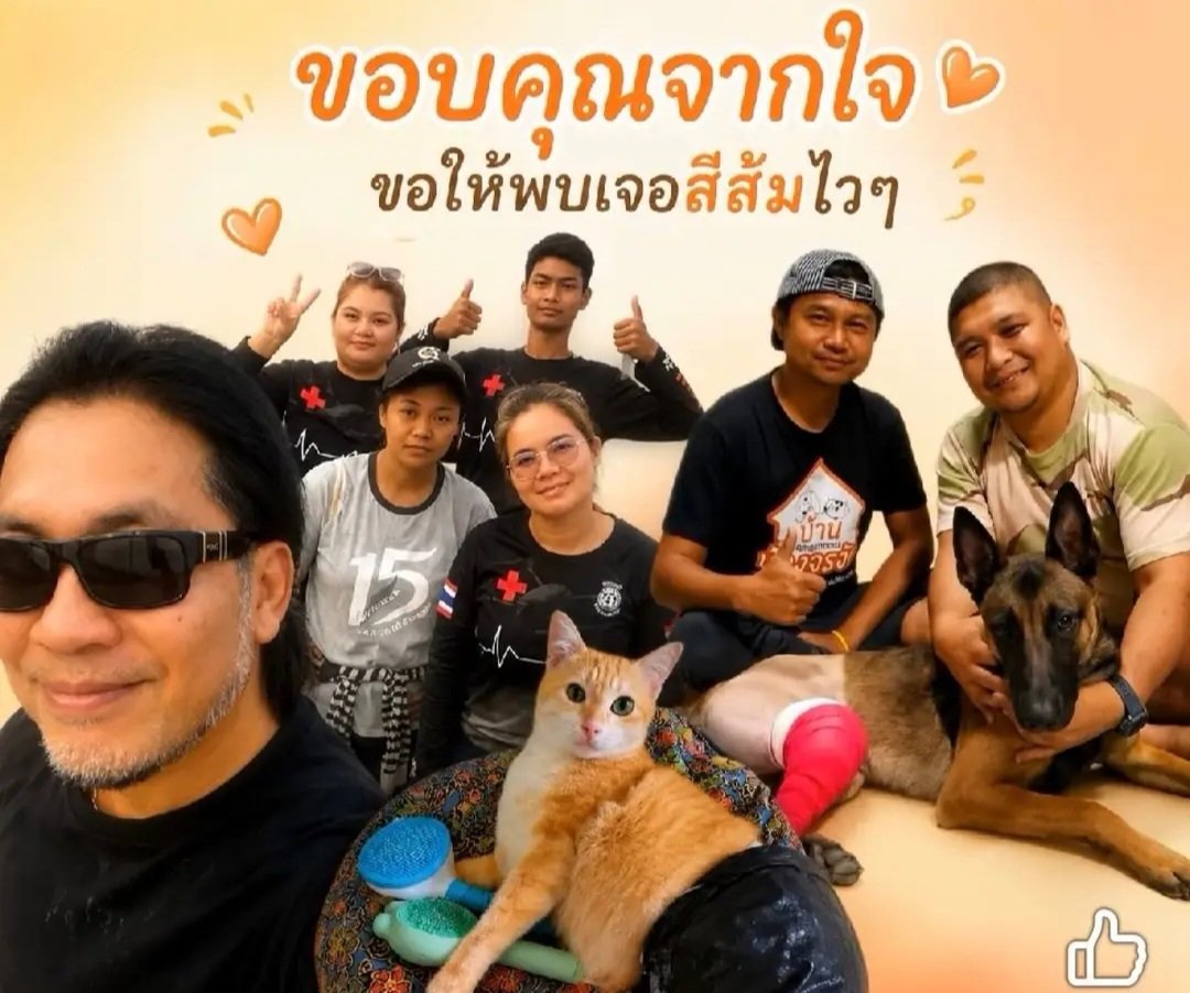 TarotYouuuu's tweet photo. มึง ตอนนี้ ผ่านมา 1 เดือน 4 วัน กับการตามหาน้องสีส้ม ทุกวันนี้พี่ปุ๋มกับทีมงาน ยังคงออกตามหาทุกวัน ติดตามความคืบหน้ากับการรถไฟด้วย ส่งกำลังใจให้ทุกๆ คนด้วยนะครับ !!!!!!

#แมวหายบนรถไฟ #แมวหาย https://t.co/87jVlaZ1rT