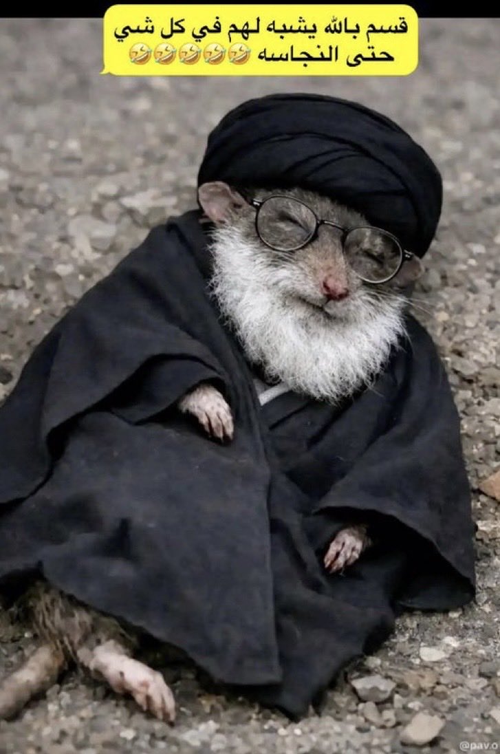AShamaery's tweet photo. @shyma_alii هههه يشبهه https://t.co/IlaGQvjuoX