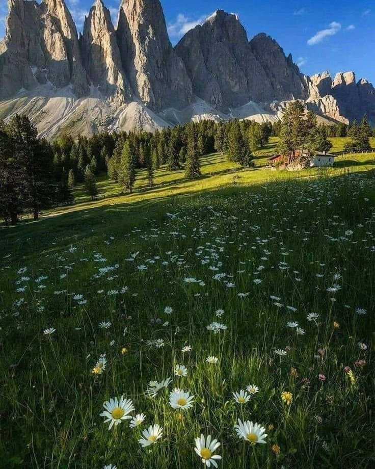 flower6260's tweet photo. Patagonia, Chile https://t.co/C6i0gUpnUY