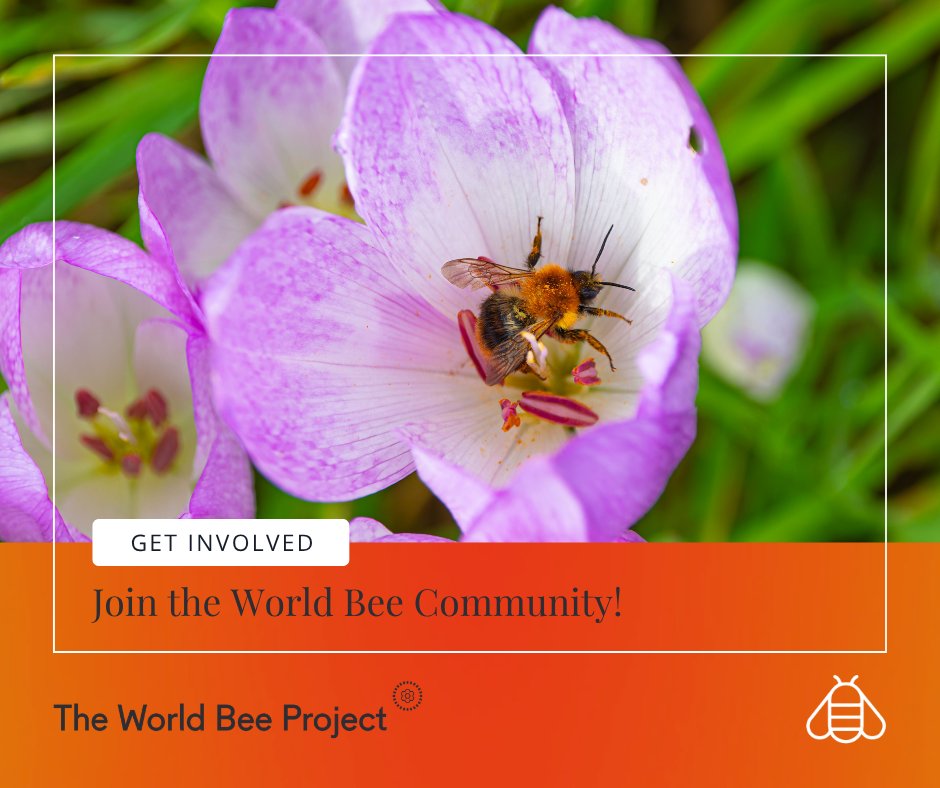 worldbeeproject's tweet photo. From farms to forests, bees sustain life everywhere. 🌍
Join a global community working together to protect pollinators and create a more balanced relationship with nature.

Be part of the global movement:
https://t.co/bGDrYOb8JD https://t.co/IUQ3PI6XYH