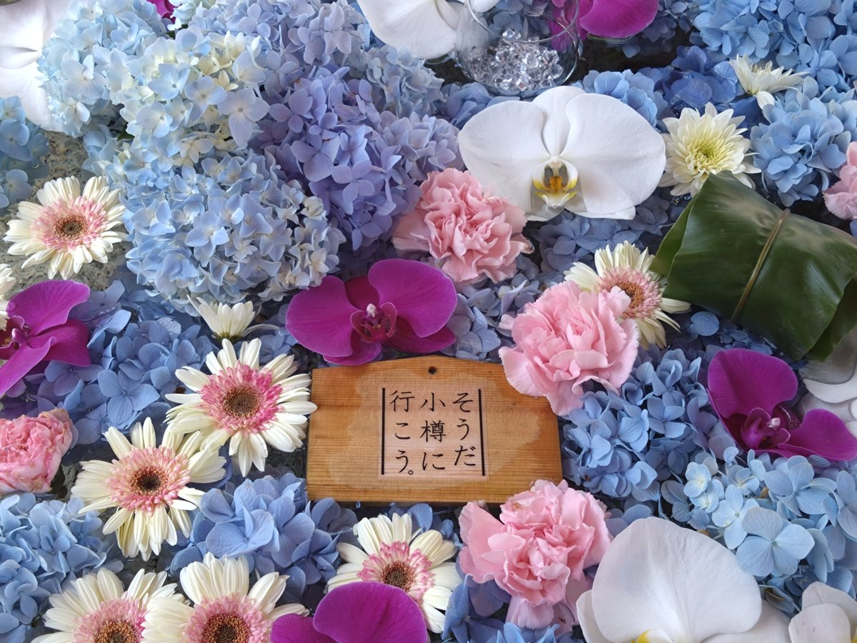 pikipeachs's tweet photo. 小樽に夏詣
#小樽
#花手水 https://t.co/5sHKxZUEuV