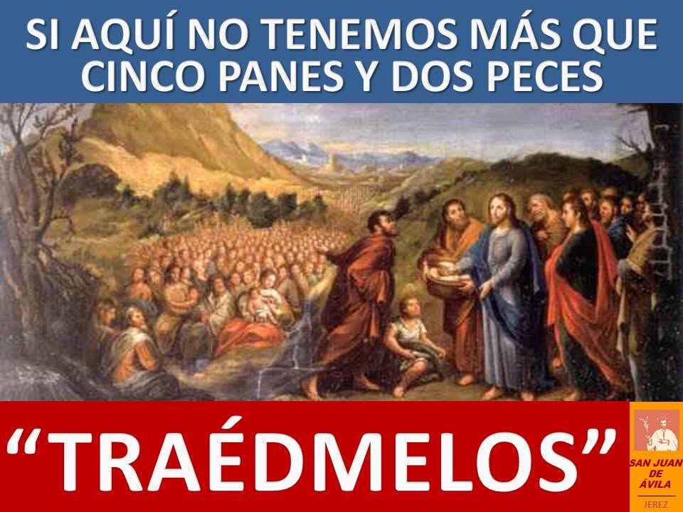 AP_SJA's tweet photo. ✝️ 18º Domingo Tiempo Ordinario

📖 Es muy tarde, despide a la multitud para que vayan a las aldeas y se compren comida

No hace falta que vayan, dadles vosotros de comer

Si aquí no tenemos más que cinco panes y dos peces

Traédmelos

⛪️ ¡Feliz Domingo!

https://t.co/Yqfla9rBJo https://t.co/W1e5xhBE3v