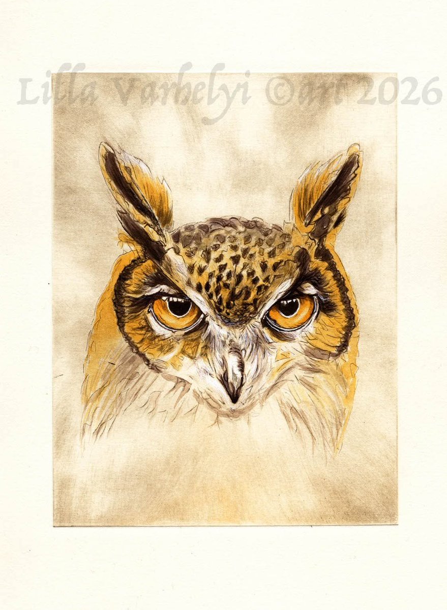 LillaVarhelyi's tweet photo. Hab eine neue Radierung😊
Uhu auf Zinkplatte ( 20x15 ) gedruckt auf Papier ( 26x20 ) und coloriert mit Tuschefarben.
Das ist Druck noch 2, er ist verfügbar.🦉
#etching #radierung #tusche #ink #uhu #owl #bagoly #eule
#art #artwork #artforsale #drypoint #printmaking
#birdlover https://t.co/4p6mhfnqed