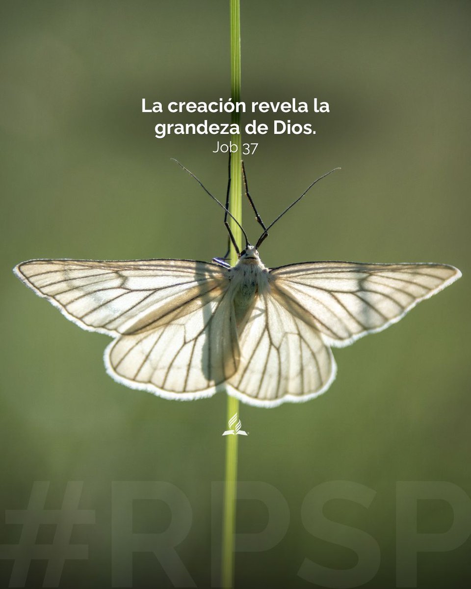 iasdsudamerica's tweet photo. Cada detalle de la naturaleza nos recuerda su poder y amor.

🌤️ 👉 Mira a tu alrededor y agradece a Dios por su creación.

🤗🙏🏼 #RPSP #PrimeroDios #Job37

📖 🎧 https://t.co/lOMR6xyJrd https://t.co/jyZ7c3VUvB