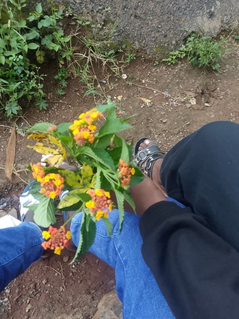Mreggae01's tweet photo. I tried my best guys 💯 https://t.co/FhBY2nPmCN