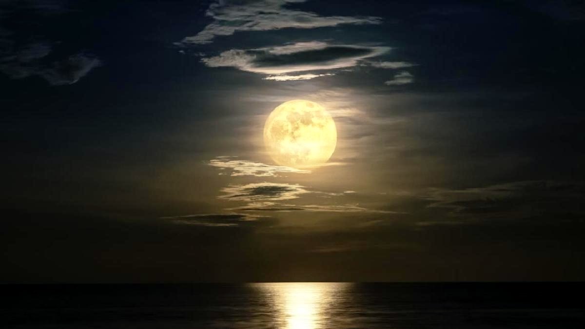 lore_morgado's tweet photo. … y a ti ,como te gusta 
el café Lolo?

Mirando a Luna 
y Contigo …

De : Mi 

Para: Él mar 

Lindisima Noche !!
Dulces Sueños

#trabajandoandaba
#encasa
#felizfinde https://t.co/0WD7WAAUCq