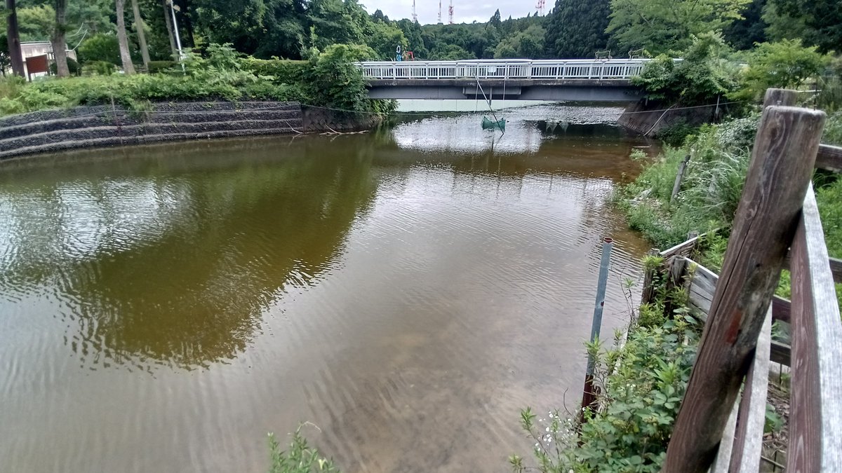 nori_212's tweet photo. 心配していた水位も明日以降の暑さに備えられるレベルまで回復しました。さて、トナカイの放牧（番組）について全国の動物（園）好きの方には届いたと感じていますが、やはり「秋田」には届いていません。

「オラほの動物園。結構すごいことやってるよ？」

秋田県民が誇りに感じるくらいになりたい。私の力の源はシビックプライドです。いつか伝わる。ずっとそう信じています。
#秋田愛 #大森山動物園
『ウチのどうぶつえんアーカイブ』
https://t.co/kSRVgITDSY