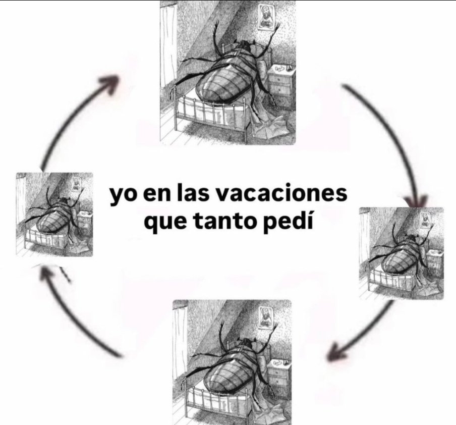 yoViaValieri's tweet photo. https://t.co/Zu8c6tRMMg