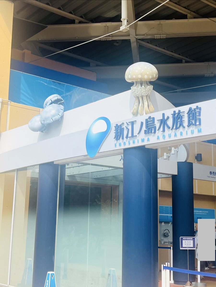 L_tak_L's tweet photo. ♡新江ノ島水族館さま♡

１つ目がアカエイさん水槽で早くも目的を達成してしまった…(この大きさを求めていた！)
でもおなか怪我(?)してるの大丈夫かな？🥺

お土産もグッズもガチャもちゃんとアカエイさんあって感動した…！！！
(前に通販したマグカップも愛用している)

しかも https://t.co/GA9zf0vjNh