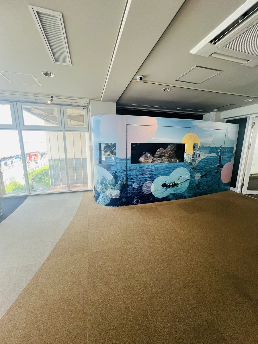 L_tak_L's tweet photo. ♡新江ノ島水族館さま♡

１つ目がアカエイさん水槽で早くも目的を達成してしまった…(この大きさを求めていた！)
でもおなか怪我(?)してるの大丈夫かな？🥺

お土産もグッズもガチャもちゃんとアカエイさんあって感動した…！！！
(前に通販したマグカップも愛用している)

しかも https://t.co/GA9zf0vjNh