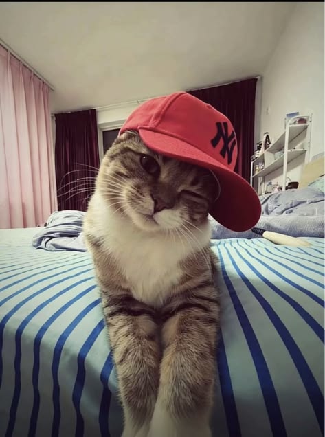 miner2011's tweet photo. صورة غير معدّلة لا تحتاج أن تكون فخمة، فقط أن تشعري بالارتياح تجاه نفسك في ذلك اليوم.
qbCJ https://t.co/ydJJ5cugv0