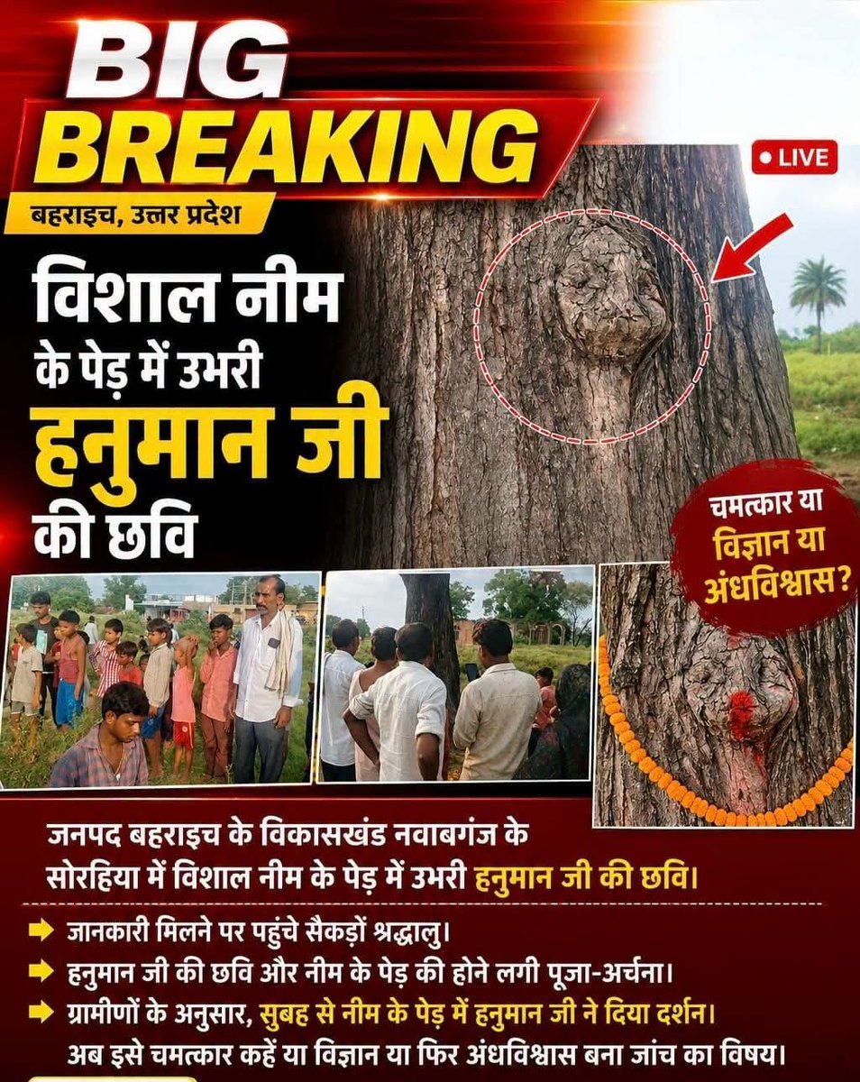 anilvermabbg's tweet photo. विशाल नीम के पेड़ में उभरी हनुमान जी की छवि, चमत्कार या कुछ और'''

#bahraich #neemkaped #hanumanji https://t.co/UnusMWv6MM