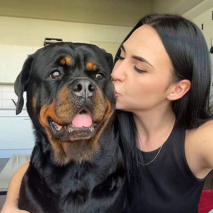 LucyGabrie99's tweet photo. #artofzoo
#dogknotlucy
#dogwoman
#knottygirl
#zoofila
#zoophilist
The reason behind my joy
Watch me get fucked by my sweetheart
https://t.co/QMc2dkIUHc
Serious buyers only 🐶🐕 https://t.co/9FXzPKPfB5