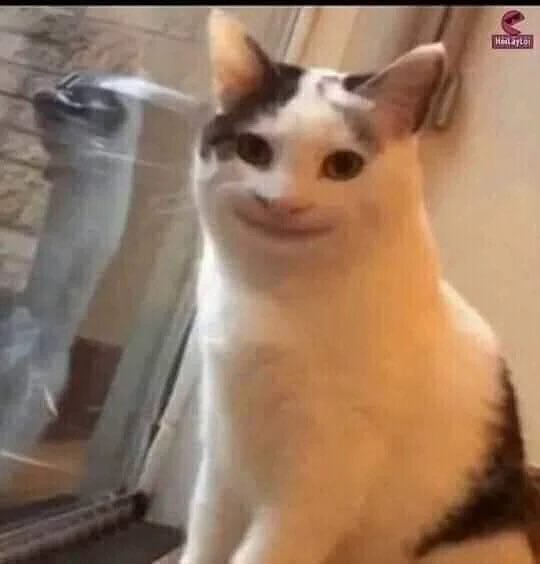 Marrryi12's tweet photo. سيارتي انا واخوي باسم امي 
واحسبهم خايفين علي اذا سويت حادث لسلامتي الشخصيه او على الاقل خوفا على سيارتي
طلع الخوف بس لايزيد سعر التأمين https://t.co/aTa9otFlHN