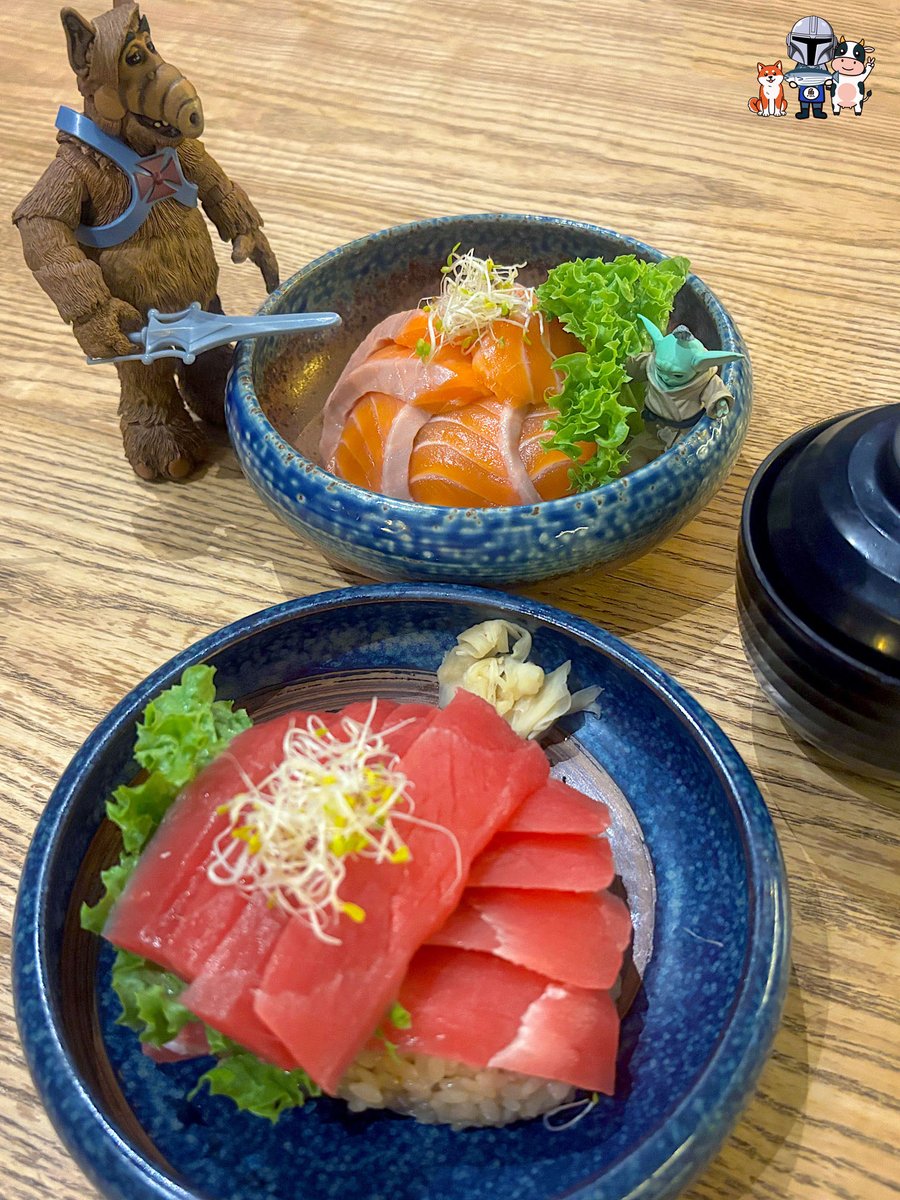 unclebootstoys's tweet photo. メルマックの力により!🐟🍚🤣
#アルフ #ALF #グローグー #Grogu #メルマック #Melmac #ヒーマン #HeMan #マスターズ・オブ・ユニバース #MastersOfTheUniverse #我らの道 #ThisIsTheWay https://t.co/wOreaNokIK