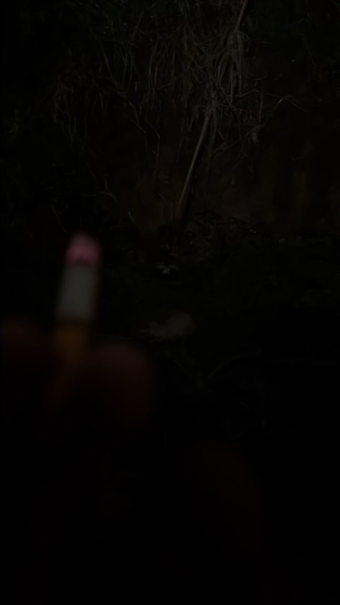 dottedxribbon's tweet photo. Hungry? Have a smoke https://t.co/pgzxDoyouk