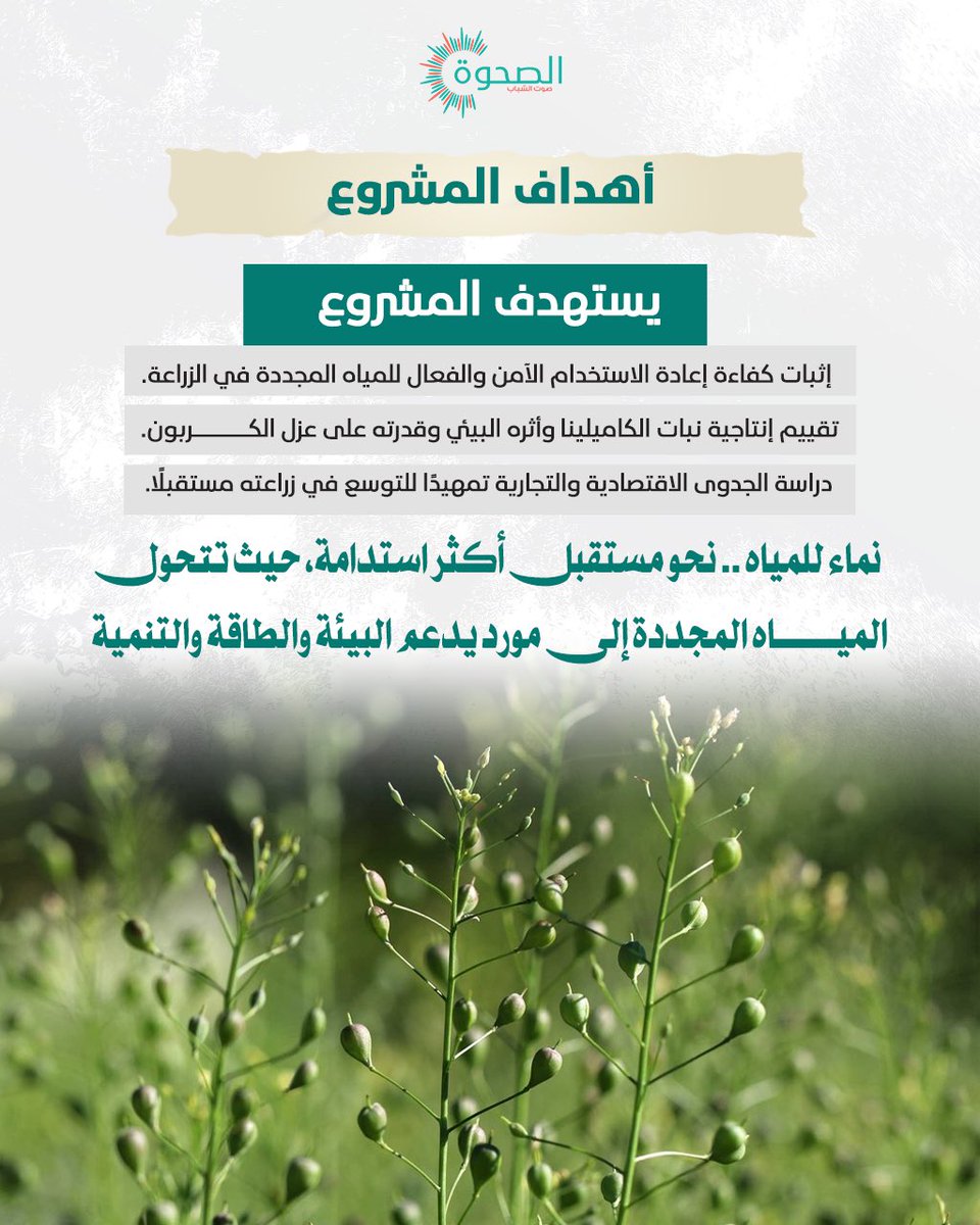 AlSahwa_Oman's tweet photo. #الصحوة | "نماء للمياه" تعزز الاستفادة من المياه المجددة في زراعة نبات الكاميلينا

@NWS_Oman 
 https://t.co/SjYFEZfVbU https://t.co/mZUrm2mUqS