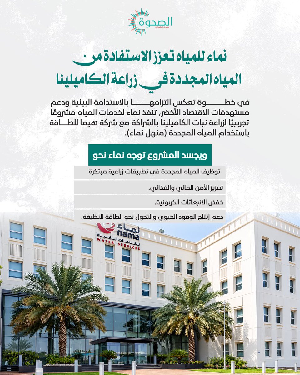 AlSahwa_Oman's tweet photo. #الصحوة | "نماء للمياه" تعزز الاستفادة من المياه المجددة في زراعة نبات الكاميلينا

@NWS_Oman 
 https://t.co/SjYFEZfVbU https://t.co/mZUrm2mUqS