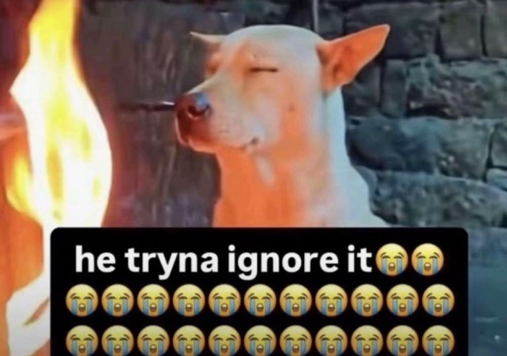 cosmosforttp's tweet photo. me posting like nothing happened bc i refuse to let the ghost ban know it's winning 🧘‍♀️
#sendhelp #fakeItTillYouMakeIt😭😭😭 https://t.co/IjnKbXacTN