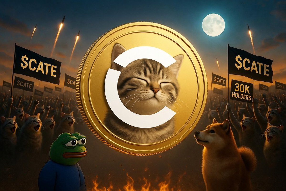 AstaresThanato1's tweet photo. 30k holders on $CATE and still flying in 🔥

Community is locked in, numbers keep printing every hour. Feels different this time.

Job ain’t finished though. We’re just getting started. This is gonna be the cat version of what PEPE and SHIBA pulled. 

Cult energy, pure conviction, cats flipping dogs. Once a CATE always a CATE. 

Let’s keep running it.
