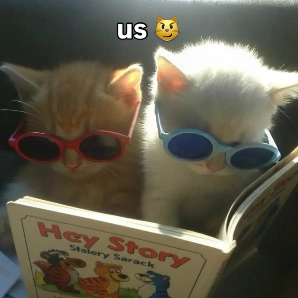 catslovings1's tweet photo. https://t.co/y76CFnpKqY