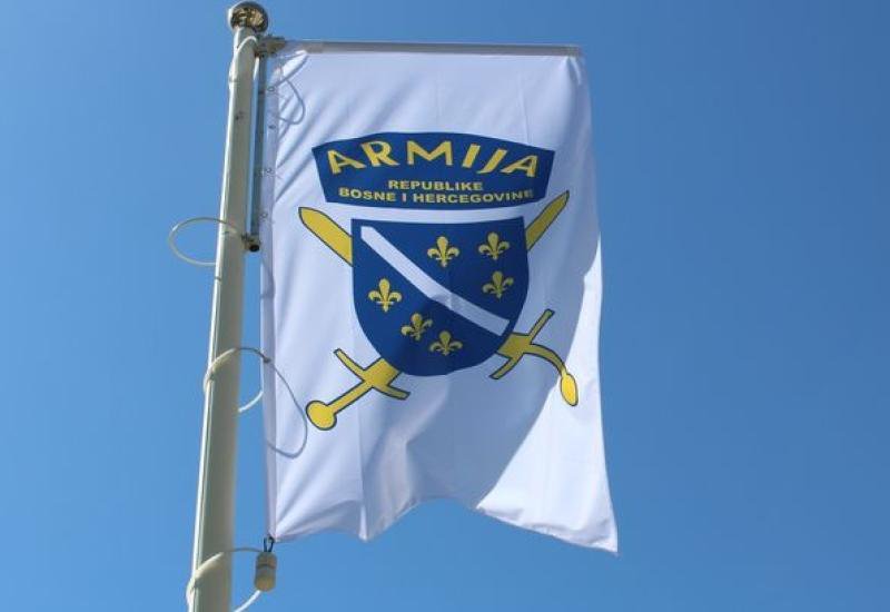 MizinkaMajkina tweet media