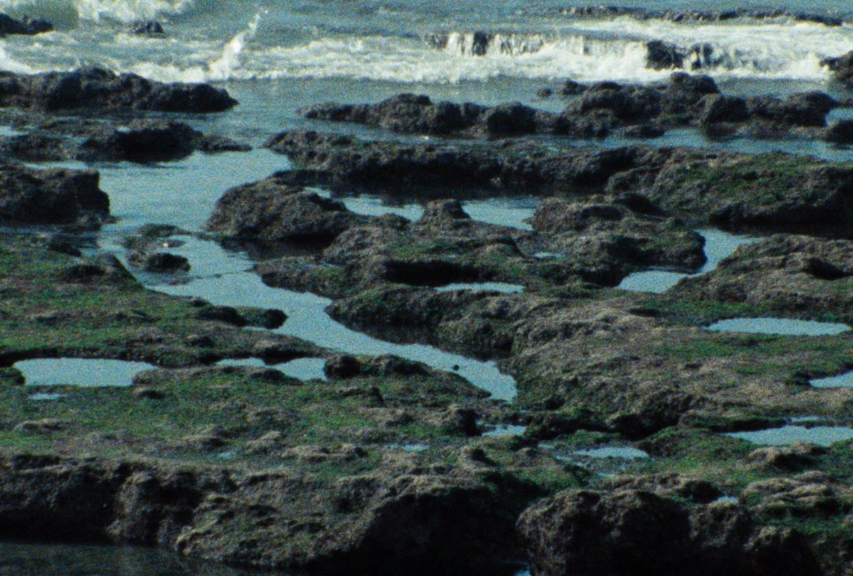 4NReveur's tweet photo. Le Rayon vert (Éric Rohmer, 1986) https://t.co/MR6wLLxZgR