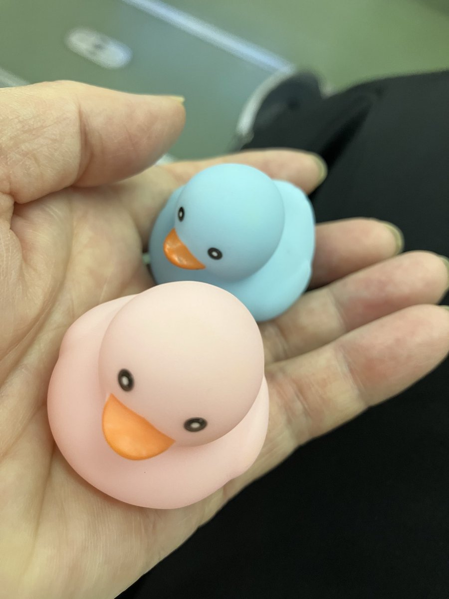 writer77panda's tweet photo. イベントのお仕事で、新しい子をいただきました！家にいてるガーガーちゃん（黄色い子）と並べよう‼️ https://t.co/lw5WujQBJu