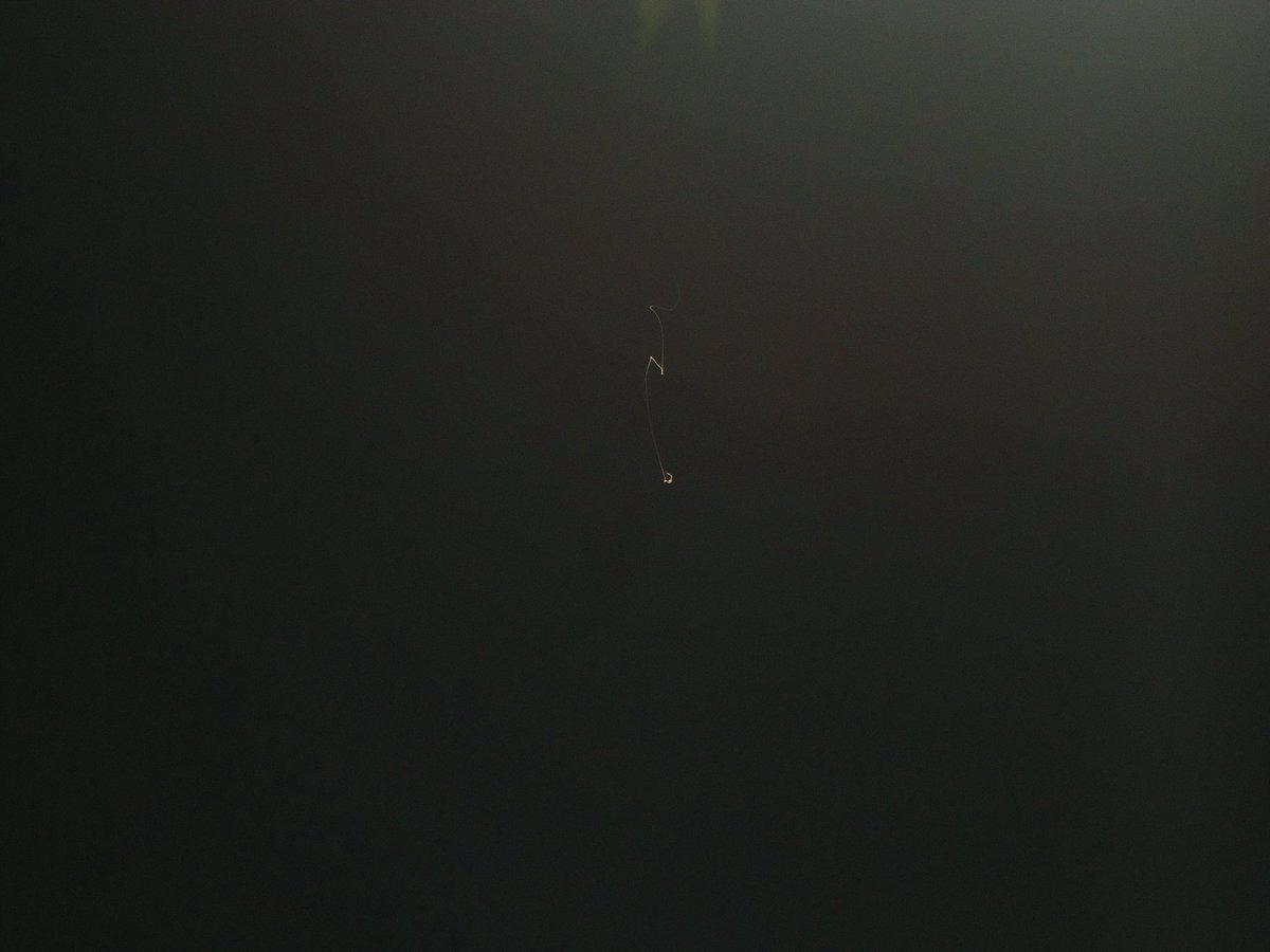 sonnetaube's tweet photo. somepics my perspective took at danau kampus c, :-) https://t.co/s4fU7KTfpQ