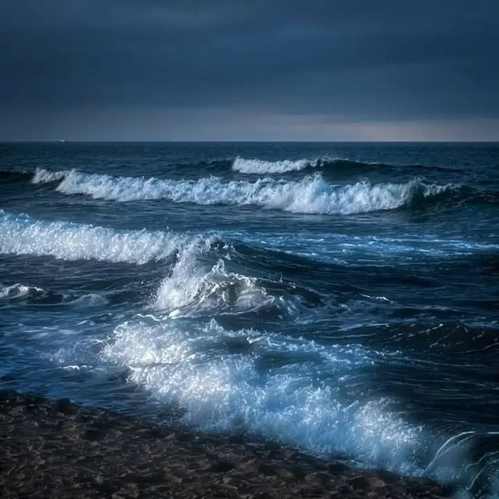 Dzheht's tweet photo. how does pinterest see me?

• makeup palette
• flower
• sea
• dress

все с одного моря выплыли https://t.co/yUc6mzuvMk