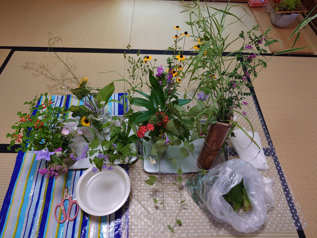 ir0hanih0's tweet photo. 今日は花寄せでの
浴衣の会👘

床の間に色々な形の花器と色々なお花とを選んで🌻
楽しい趣向🎵 https://t.co/5ZqiqWdvZS