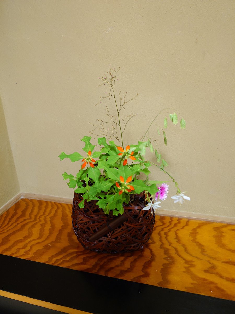 ir0hanih0's tweet photo. 今日は花寄せでの
浴衣の会👘

床の間に色々な形の花器と色々なお花とを選んで🌻
楽しい趣向🎵 https://t.co/5ZqiqWdvZS