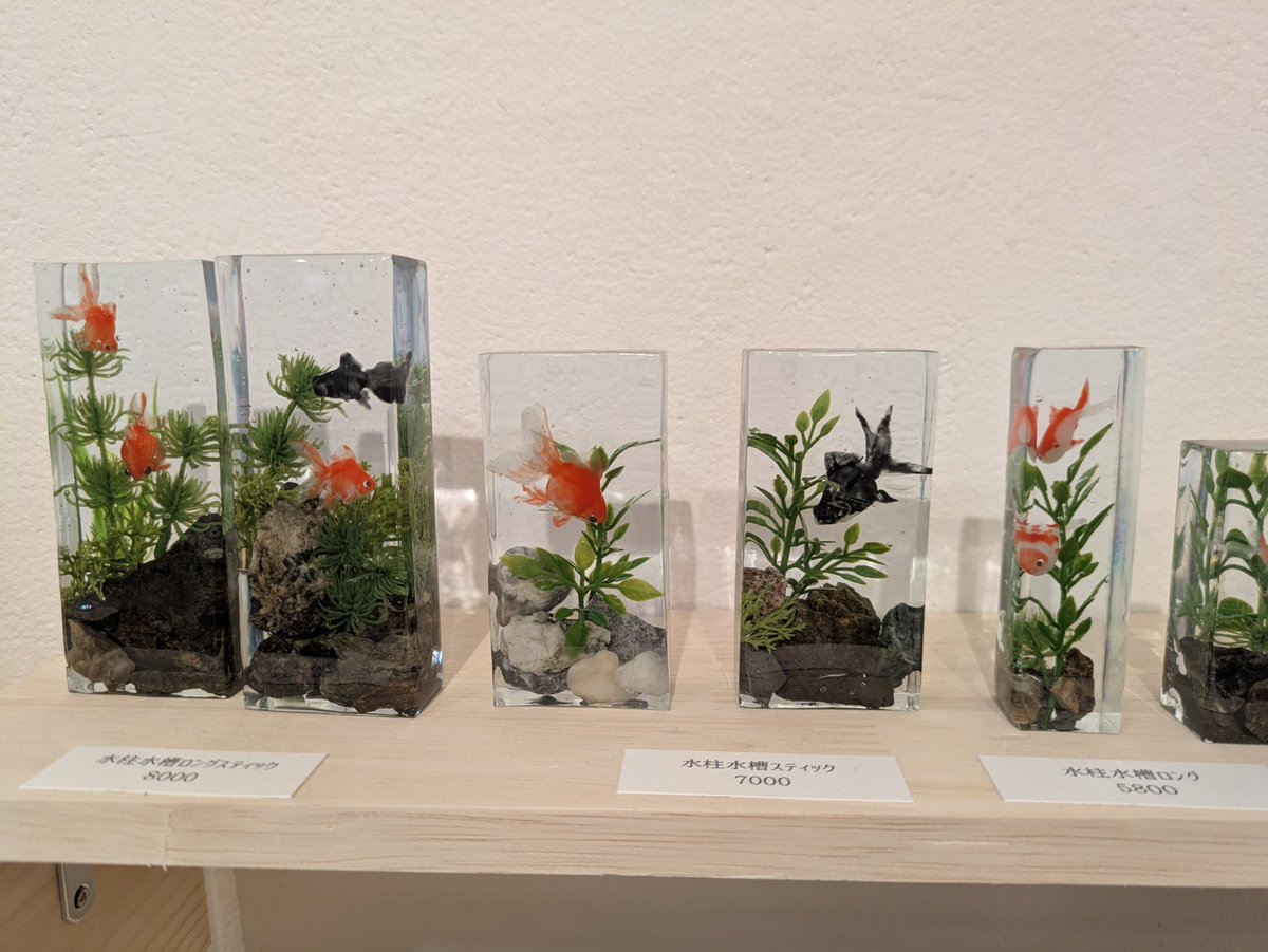 grandiasky's tweet photo. 原宿のデザフェスギャラリー、撤収前に金魚のアート作品拝めた。涼しげ。 https://t.co/wM2r3uzrbn