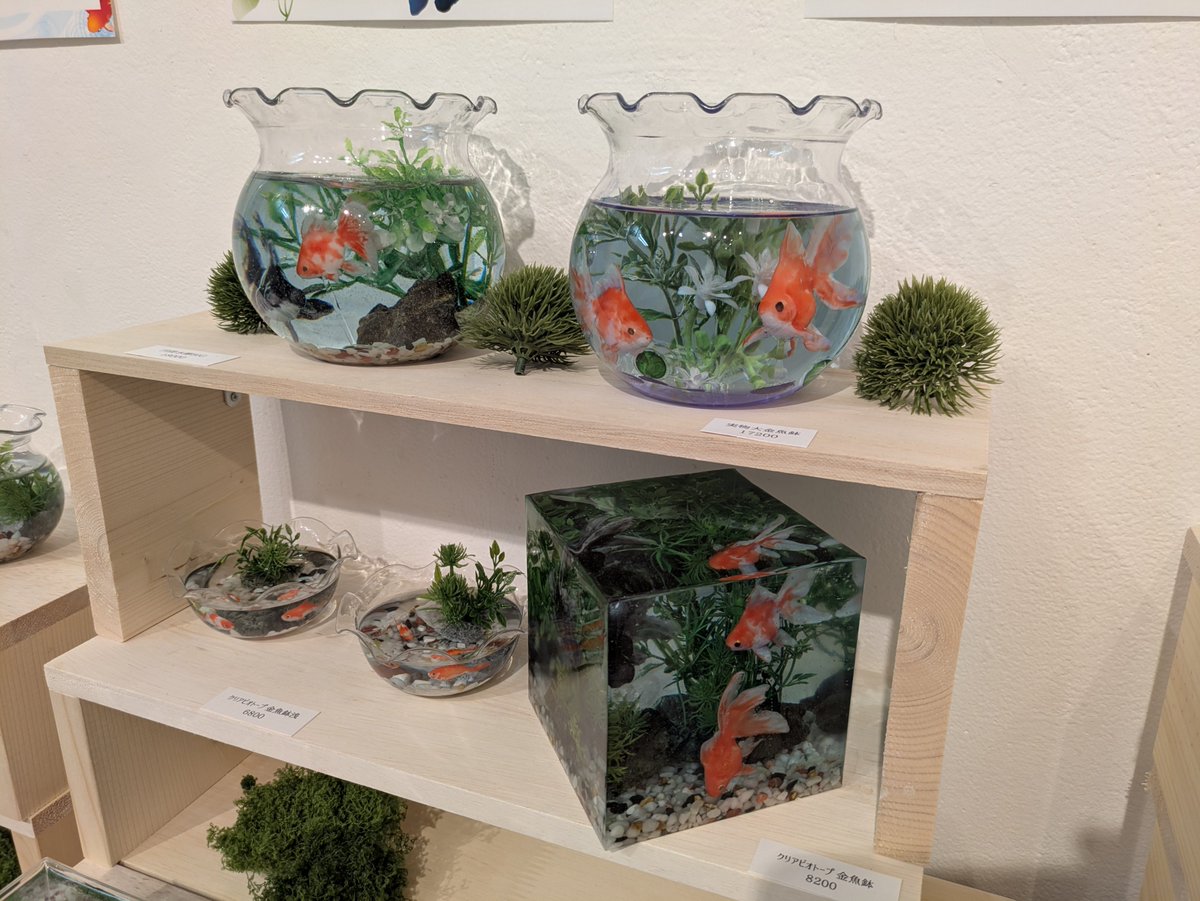grandiasky's tweet photo. 原宿のデザフェスギャラリー、撤収前に金魚のアート作品拝めた。涼しげ。 https://t.co/wM2r3uzrbn