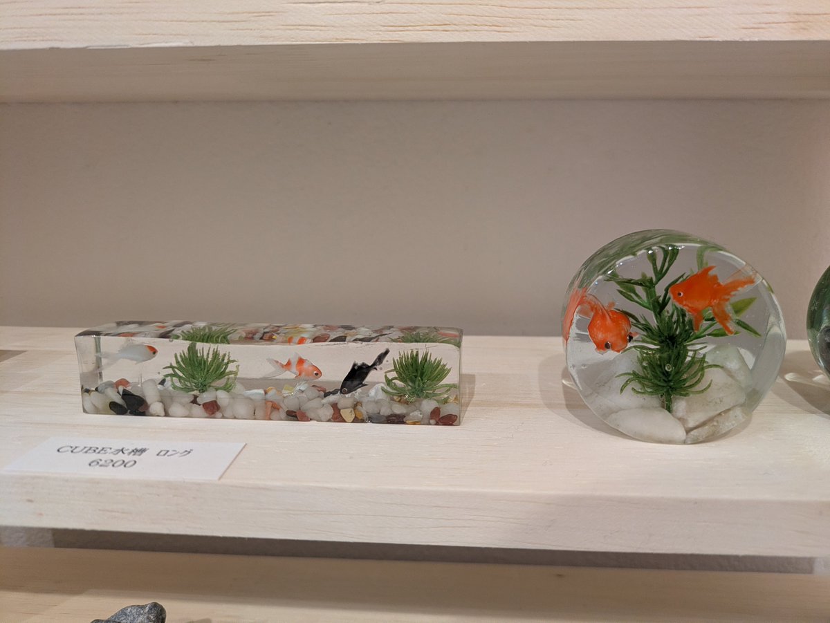 grandiasky's tweet photo. 原宿のデザフェスギャラリー、撤収前に金魚のアート作品拝めた。涼しげ。 https://t.co/wM2r3uzrbn