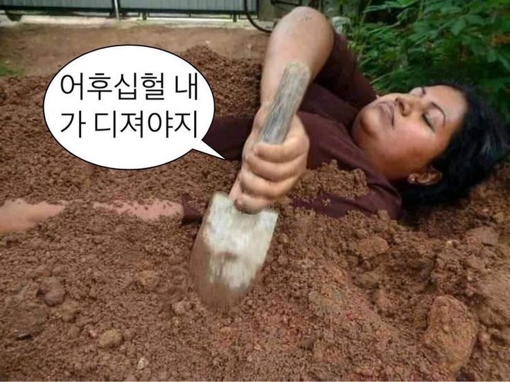 luce_koibito's tweet photo. 4장을 영원히 회피하고…
또 회피하고… https://t.co/QGQXAknTYw