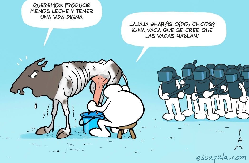 Terraferida's tweet photo. Bon diumenge i Pau per tots. https://t.co/ItSWCbQpxp