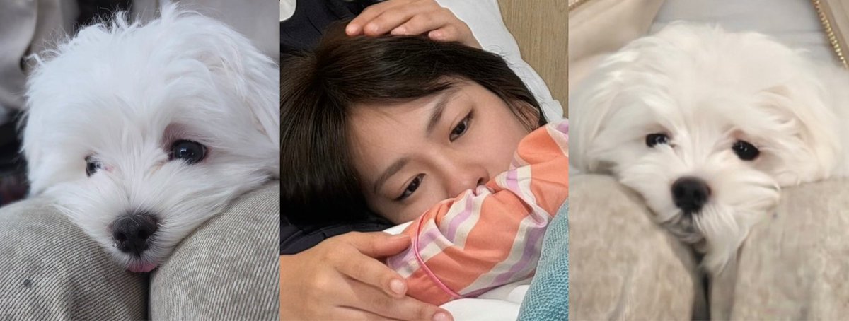 clocking2much's tweet photo. mimi &amp; muju = 10000000% oong oong DNA

#lilmuju #emiamily https://t.co/Kd2k2JDc5u
