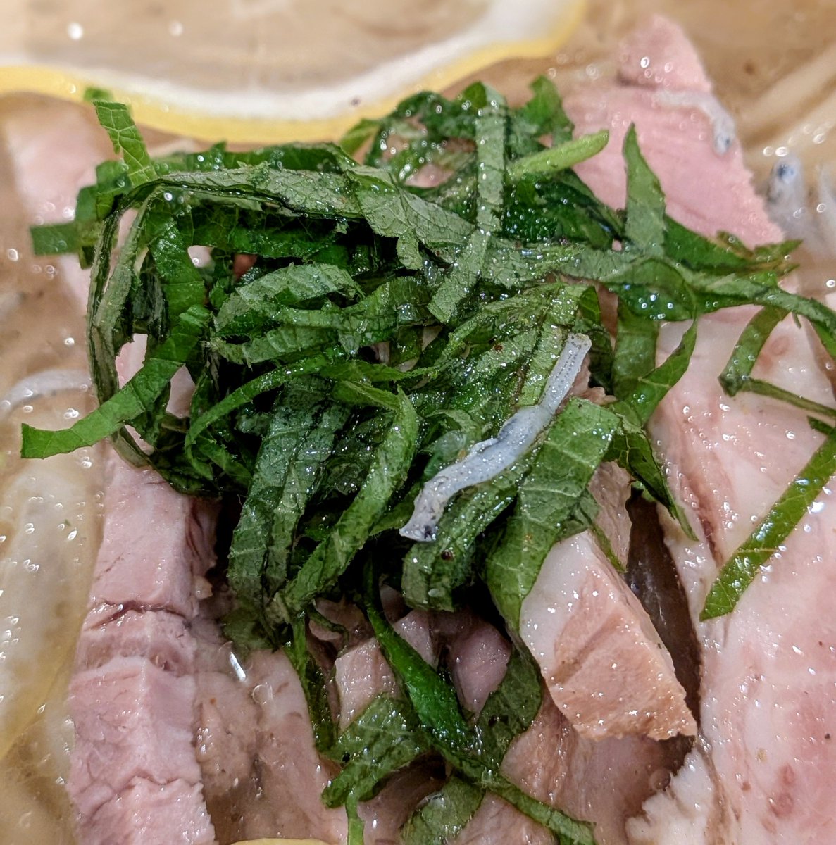 soysaltymiso's tweet photo. #中華そばムタヒロ国分寺本店
大葉としらすの冷やし塩レモンラーメン1000
スライスレモンが載るが、煮干スープからもレモンの酸味😋サッパリ、スッキリ飲める😋大葉も爽やかな香り😋食欲がない時にも食べられる😋猛暑の中でオアシスを見つける一杯😋
7月限定☺️
美味い‼️💯💯💯😋
＠国分寺
’26  311杯目 https://t.co/90eCBNhoHq