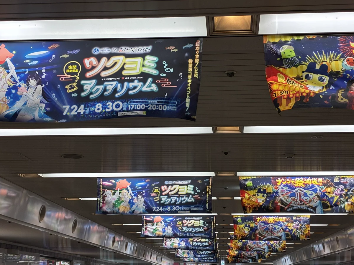 なまずさま専用