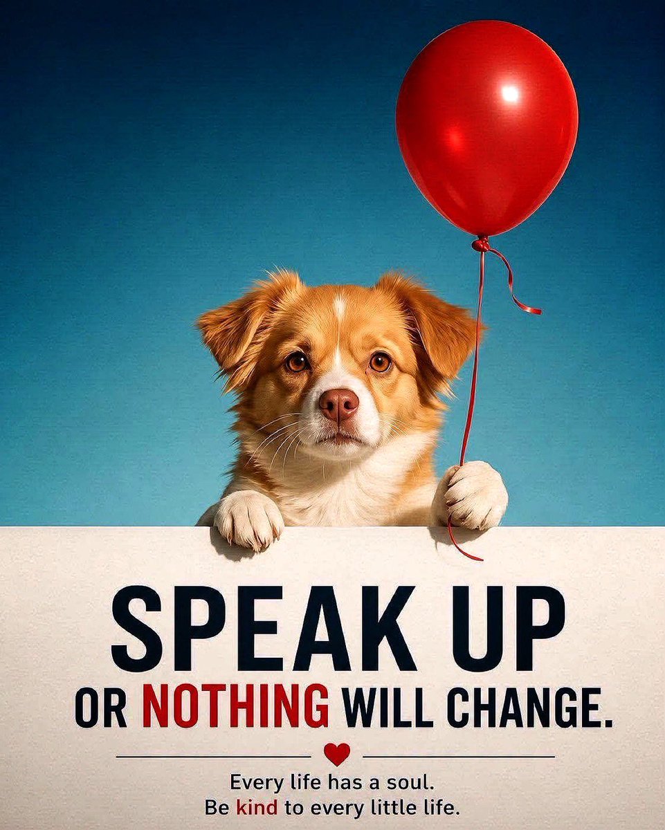 joie_lai's tweet photo. 🙏🏻 Please speak up or nothing will change! https://t.co/sFM9ggPDOG
