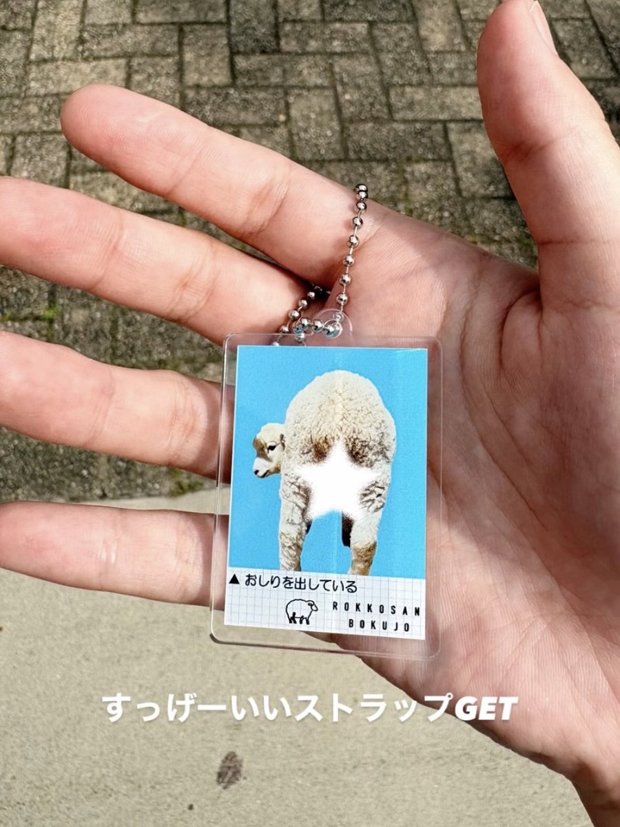 supakoma's tweet photo. 六甲山牧場 🐑🐑⸒⸒ https://t.co/9Pp1ePDvWH