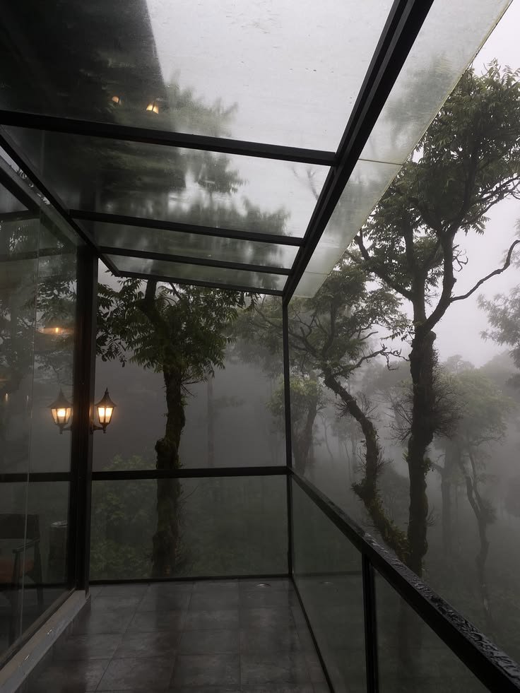 elemmiressoul's tweet photo. foggy. https://t.co/Z3x34XwIlk