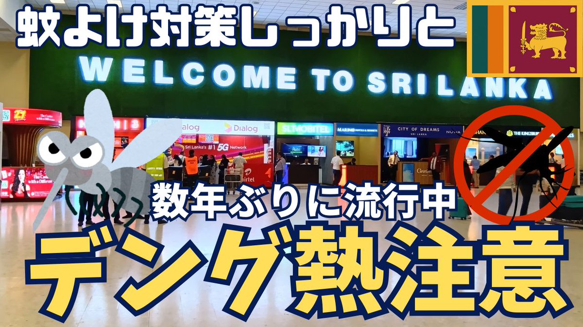 lankaspice's tweet photo. 【スリランカ】注意喚起！数年ぶりの流行中！対策は？虫除けスプレー・長袖持参ください！

スリランカ数年ぶりにデング熱流行してます
しかししっかりと蚊よけ対策をしたら
過度に恐れることはありません
虫除けスプレーなど必ずご持参いただき
なるべく肌の露出を控えること
詳しくはうっちゃんねる https://t.co/jju8J5GftL