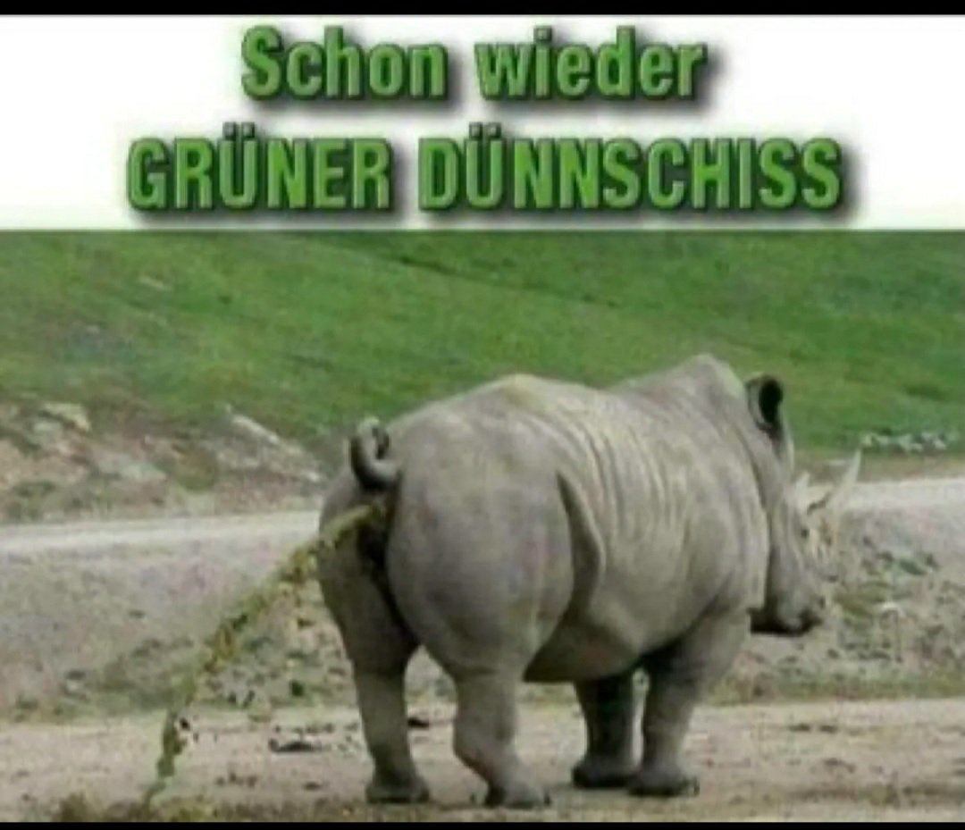 2751Micha's tweet photo. @GfD_offiziell https://t.co/yfu31MvXuI