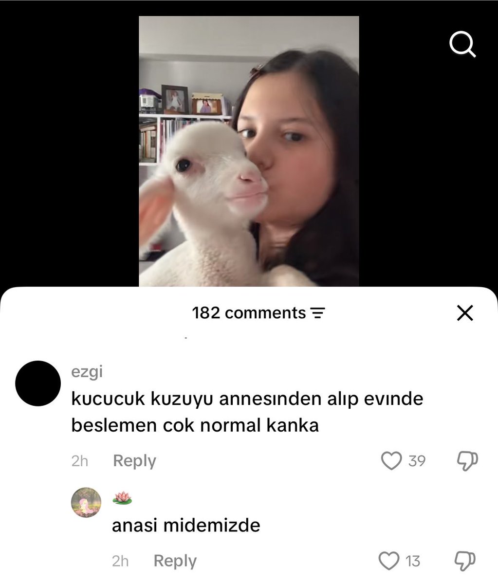 ironikiz's tweet photo. bizim kırıcılık https://t.co/QeJfkN5KFR