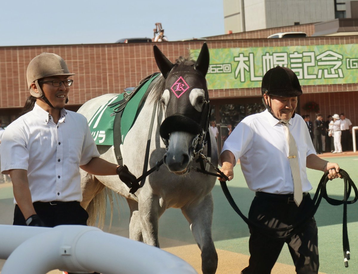 mofu_mayu's tweet photo. 好きすぎて好きすぎて失敗しまくりなのでトリミングして弄りまくりましたが他にはない撮れ高ご査収下さい😊パート2
#札幌競馬場
#クイーンS
#コガネノソラ
#平成レトロ風
#アナログみ加工
#可愛いからオトナへ
#ゴールドシップ産駒 https://t.co/r4aVE7tE9d