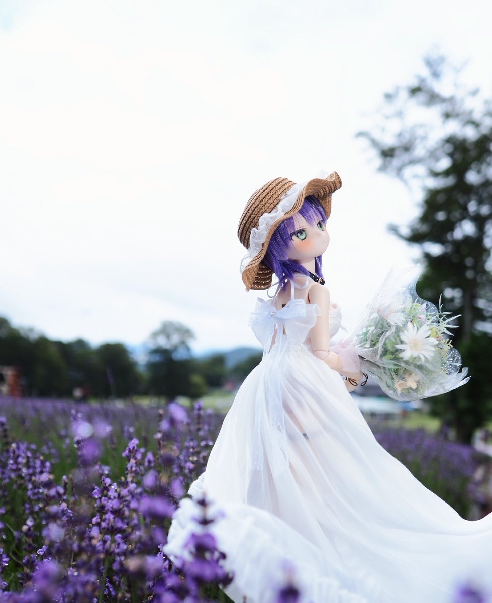 irohayuri's tweet photo. 雨上がった☔🌞👒✌️(⩌⩊⩌)
#きういっ子 https://t.co/JgawT9sQ5Y